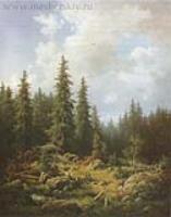 Пейзаж с елями. 1860-е