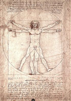 Витрувианский человек (Леонардо да Винчи)